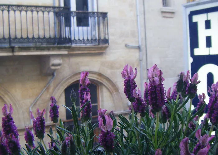 Des Grands Hommes - Centre Hotel